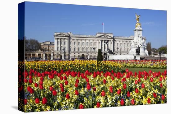 Buckingham Palace and Queen Victoria Monument with Tulips, London, England, United Kingdom, Europe-Stuart Black-Premier Image Canvas