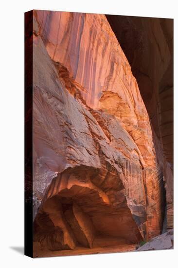 Buckskin Gulch II-Alan Majchrowicz-Premier Image Canvas