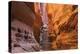 Buckskin Gulch V-Alan Majchrowicz-Premier Image Canvas