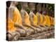 Buddha at Ayuthaya, Siam, Thailand-Gavriel Jecan-Premier Image Canvas