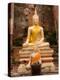 Buddha at Ayuthaya, Siam, Thailand-Gavriel Jecan-Premier Image Canvas