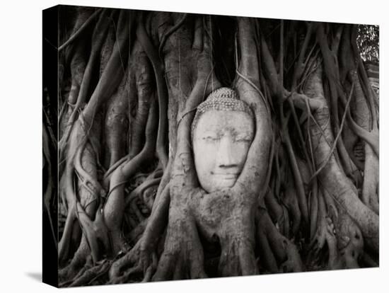 Buddha Head in the Roots of a Tree, Wat Mahathat, Ayutthaya Historical Park, Ayutthaya, Thailand-null-Premier Image Canvas