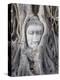 Buddha Head, Wat Phra Mahathat, Ayutthaya, Thailand-Michele Falzone-Premier Image Canvas