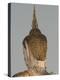 Buddha Image, Thailand-Gavriel Jecan-Premier Image Canvas