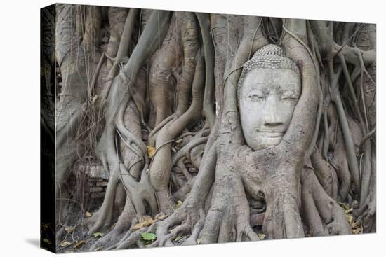 Buddha Statue Head Surrounded By Tree Roots. Wat Phra Mahathat Temple. Ayutthaya, Thailand-Oscar Dominguez-Premier Image Canvas
