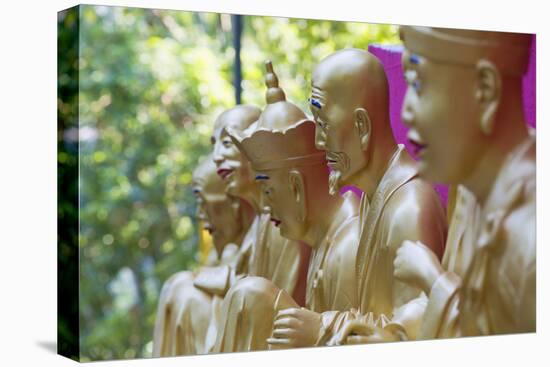 Buddha Statues at Ten Thousand Buddhas Monastery, Shatin, New Territories, Hong Kong, China, Asia-Ian Trower-Premier Image Canvas