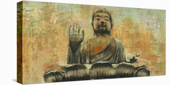 Buddha the Enlightened-Dario Moschetta-Stretched Canvas