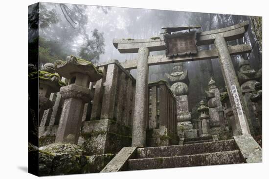 Buddhist Cemetery of Oku-No-In, Koyasan (Koya-San), Kansai, Japan-Stuart Black-Premier Image Canvas