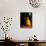 Buddhist Monk at Morning Prayer, Marble Temple, Bangkok, Thailand-Paul Souders-Premier Image Canvas displayed on a wall