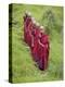 Buddhist Monks from Karchu Dratsang Monastery, Jankar, Bumthang, Bhutan-Angelo Cavalli-Premier Image Canvas