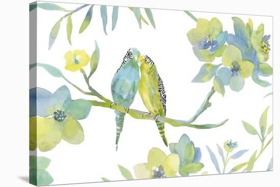 Budgie Love-Sandra Jacobs-Stretched Canvas