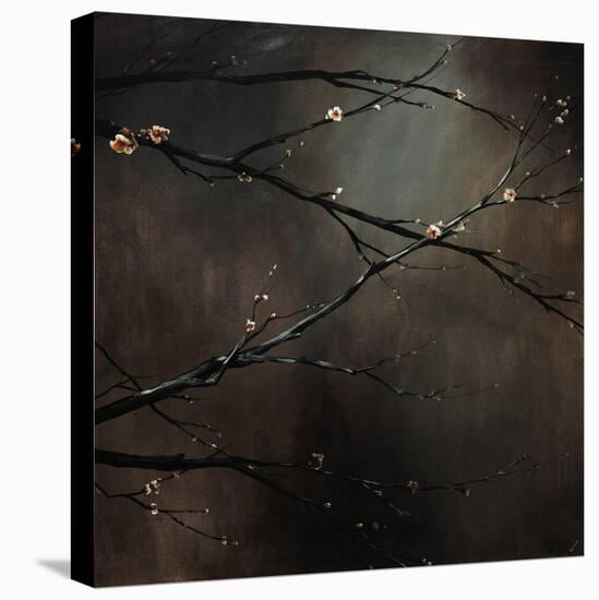 Buds of May-Sydney Edmunds-Premier Image Canvas