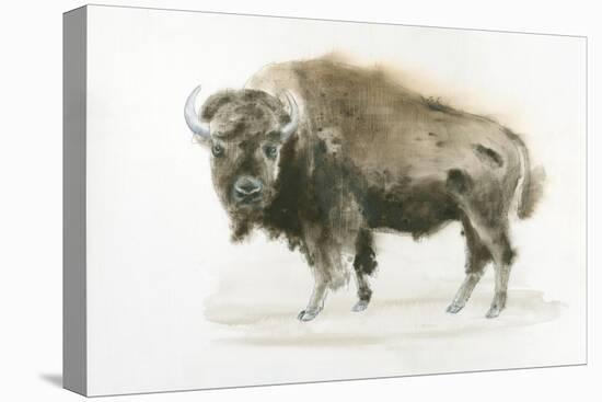 Buffalo Bill-James Wiens-Stretched Canvas