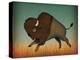 Buffalo Bison II-Ryan Fowler-Stretched Canvas