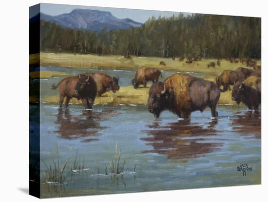 Buffalo Crossing-Jack Sorenson-Stretched Canvas