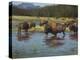 Buffalo Crossing-Jack Sorenson-Stretched Canvas