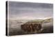 Buffalo Herd, 1862-William Jacob Hays-Premier Image Canvas
