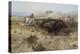 Buffalo Hunt Number 26, 1899-Charles Marion Russell-Premier Image Canvas