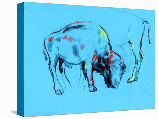 Buffalo Painting-Boyan Dimitrov-Stretched Canvas