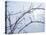 Buffalo River 57-Gordon Semmens-Premier Image Canvas