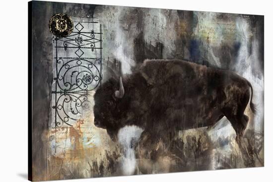 Buffalo-Marta Wiley-Stretched Canvas