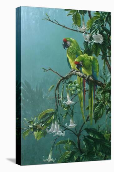 Buffons Macaws-Michael Jackson-Premier Image Canvas