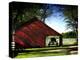 Buggy in the Red Barn-Jody Miller-Premier Image Canvas