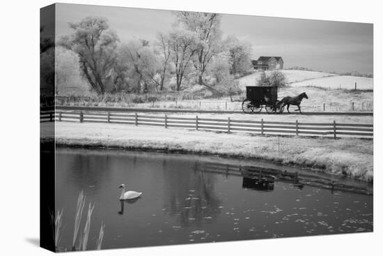Buggy & Pond, Shipshewana, Indiana '13-Monte Nagler-Premier Image Canvas