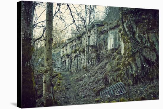 Building and remains of a bunker at a mountain in a wood in winter in Alsace-Axel Killian-Stretched Canvas