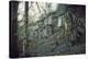 Building and remains of a bunker at a mountain in a wood in winter in Alsace-Axel Killian-Premier Image Canvas