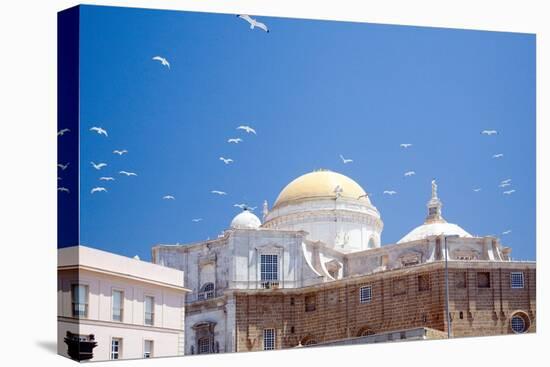 Building in Cadiz in Spain with Seagulls-Felipe Rodriguez-Premier Image Canvas