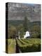 Buitenverwachting Wine Farm, Constantia, Cape Province, South Africa, Africa-Sergio Pitamitz-Premier Image Canvas