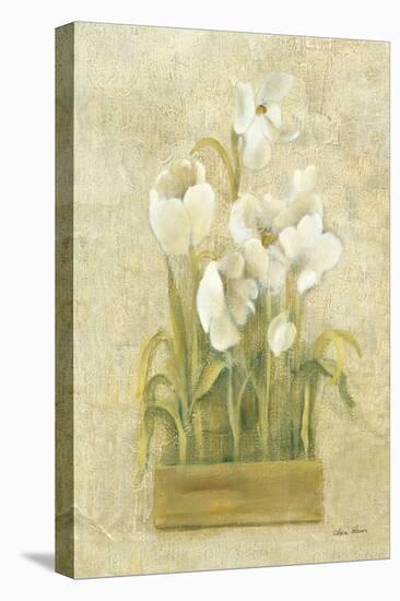 Bulbs of Spring I-Cheri Blum-Stretched Canvas