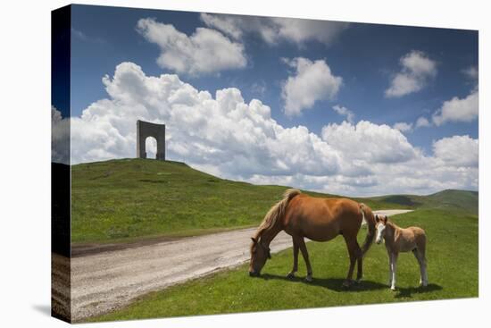 Bulgaria, Central Mts, Troyan, Troyan Pass, Battle Monument and Horses-Walter Bibikow-Premier Image Canvas