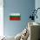 Bulgaria Flag Design with Wood Patterning - Flags of the World Series-Philippe Hugonnard-Stretched Canvas displayed on a wall