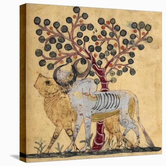 Bull and Cow-Aristotle ibn Bakhtishu-Premier Image Canvas
