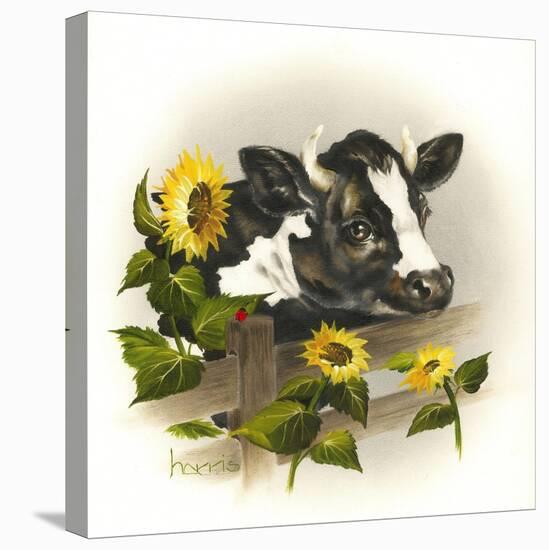 Bull and Sunflowers-Peggy Harris-Premier Image Canvas