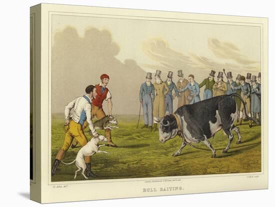 Bull Baiting-Henry Thomas Alken-Premier Image Canvas