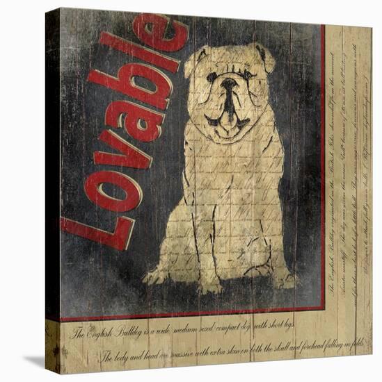 Bull Dog-Karen J^ Williams-Stretched Canvas