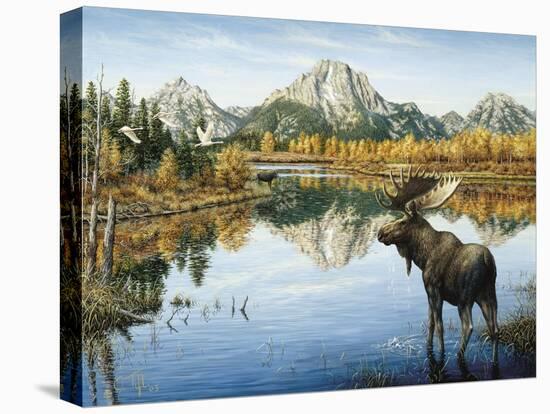 Bull Moose-Jeff Tift-Premier Image Canvas