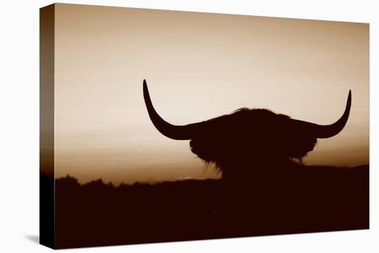 Bull Set Sepia Crop-Nathan Larson-Premier Image Canvas