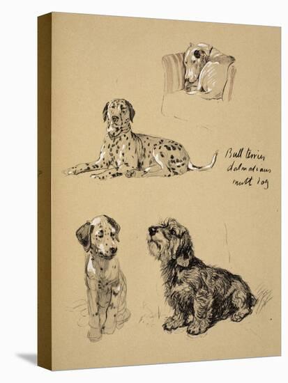Bull Terrier, Dalmatians and Mutt Dog, 1930, Just Among Friends, Aldin, Cecil Charles Windsor-Cecil Aldin-Premier Image Canvas
