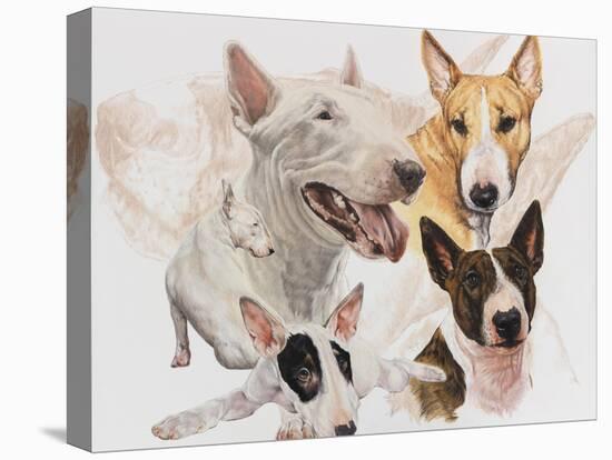 Bull Terrier with Ghost Image-Barbara Keith-Premier Image Canvas