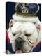 Bulldog Beauty-Charlie Neibergall-Premier Image Canvas