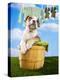 Bulldog Puppy in Laundry Basket-Lew Robertson-Premier Image Canvas