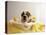 Bulldog Puppy in Miniature Bathtub-Larry Williams-Premier Image Canvas