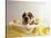 Bulldog Puppy in Miniature Bathtub-Larry Williams-Premier Image Canvas