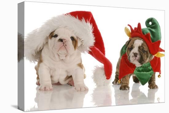 Bulldog Puppy Santa and Elf-Willee Cole-Premier Image Canvas