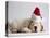 Bulldog Puppy Wearing Santa Hat-Jim Craigmyle-Premier Image Canvas