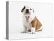 Bulldog Puppy-Peter M^ Fisher-Premier Image Canvas